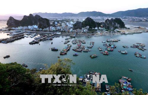 Tuần qua: Sẽ trình Quốc hội lùi thông qua luật về đặc khu, cựu giám đốc bệnh viện Hoà Bình đã về Việt Nam ảnh 1